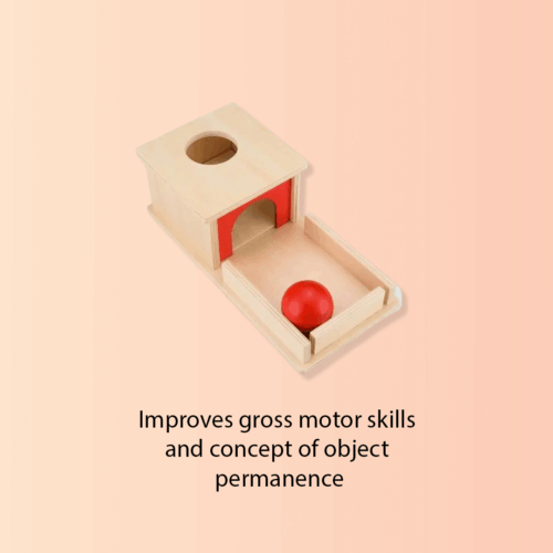 The Roller Playkit (5-6 month) - Image 3