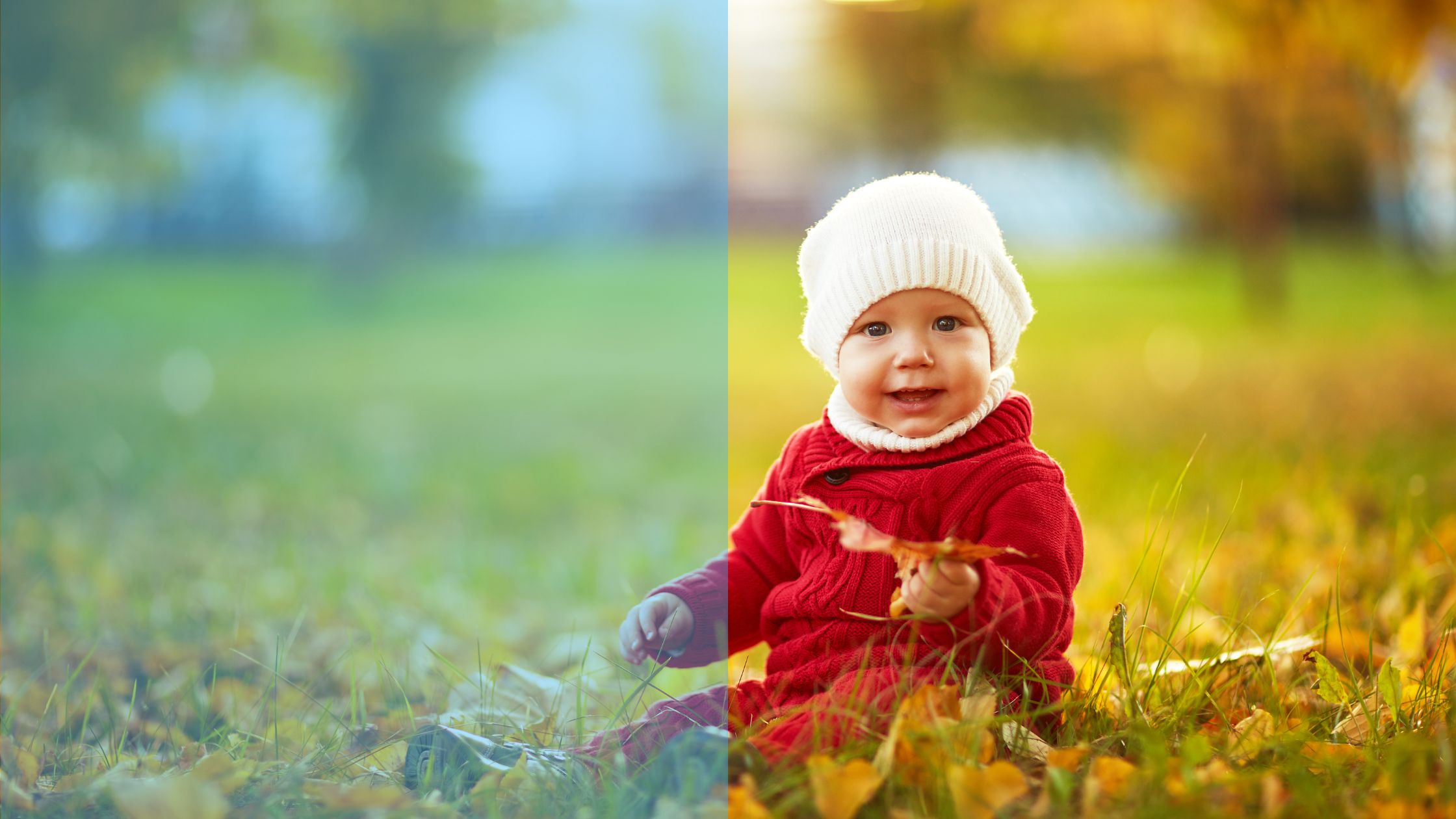 Introduce nature to baby for Baby's Brain Development